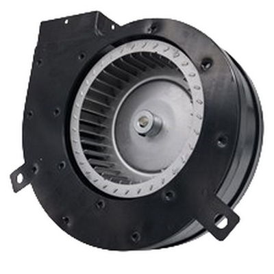 75W 120V 60Hz ventilatore a convezione UL Agente applicato in armadio isolato